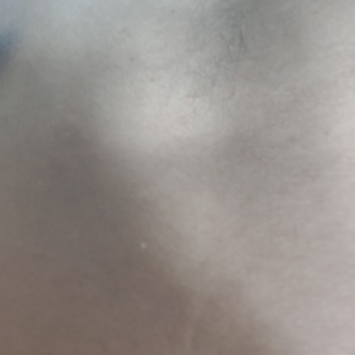 Paupatil