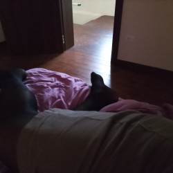 mikiju, CrossDresser 38  Latisana Friuli-Venezia Giulia