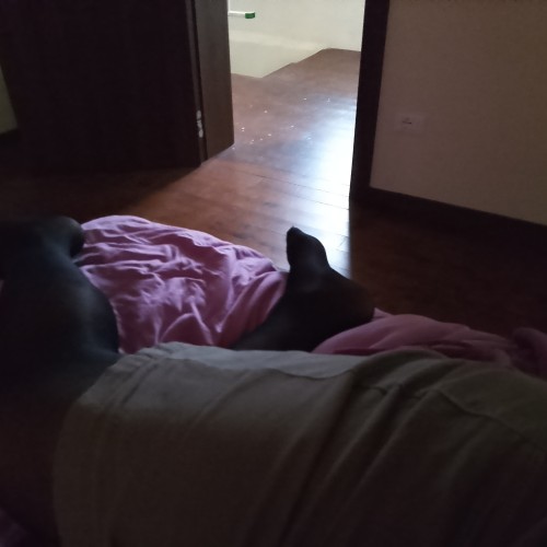  mikiju, CrossDresser 38  Latisana Friuli-Venezia Giulia