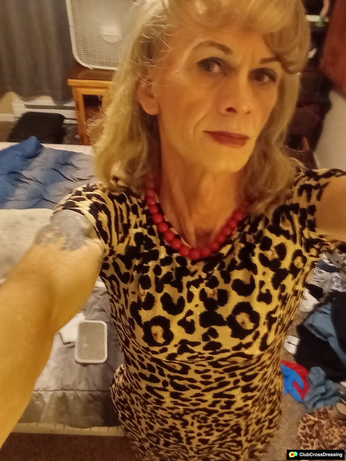 CDxLisaRaine profile photo