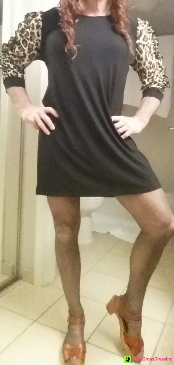 pantyfag profile photo