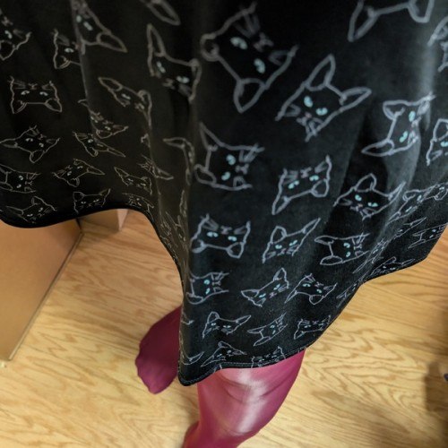  Kristi954, CrossDresser 48  Orange Park Florida