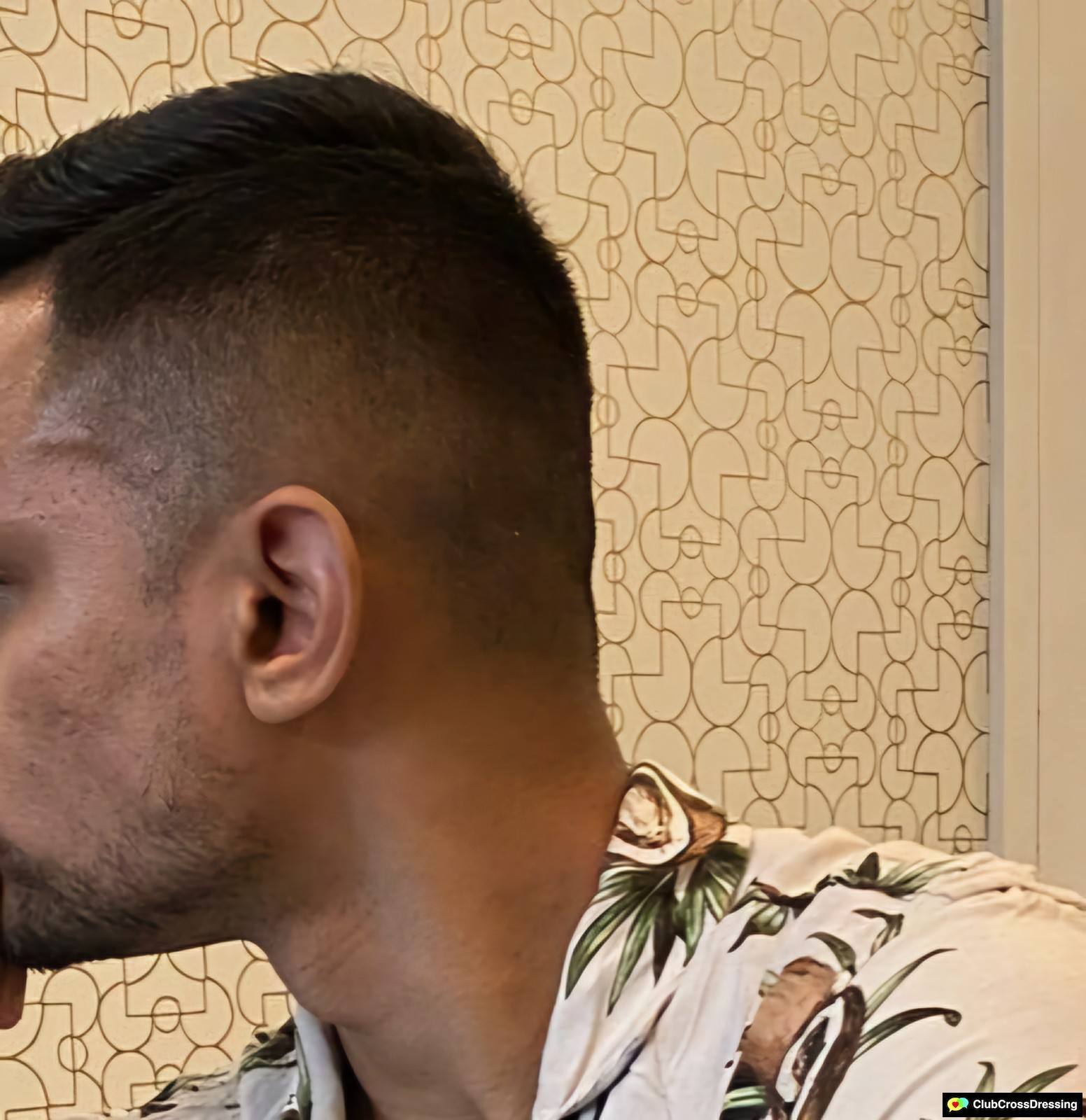 Curiousguy31 profile photo
