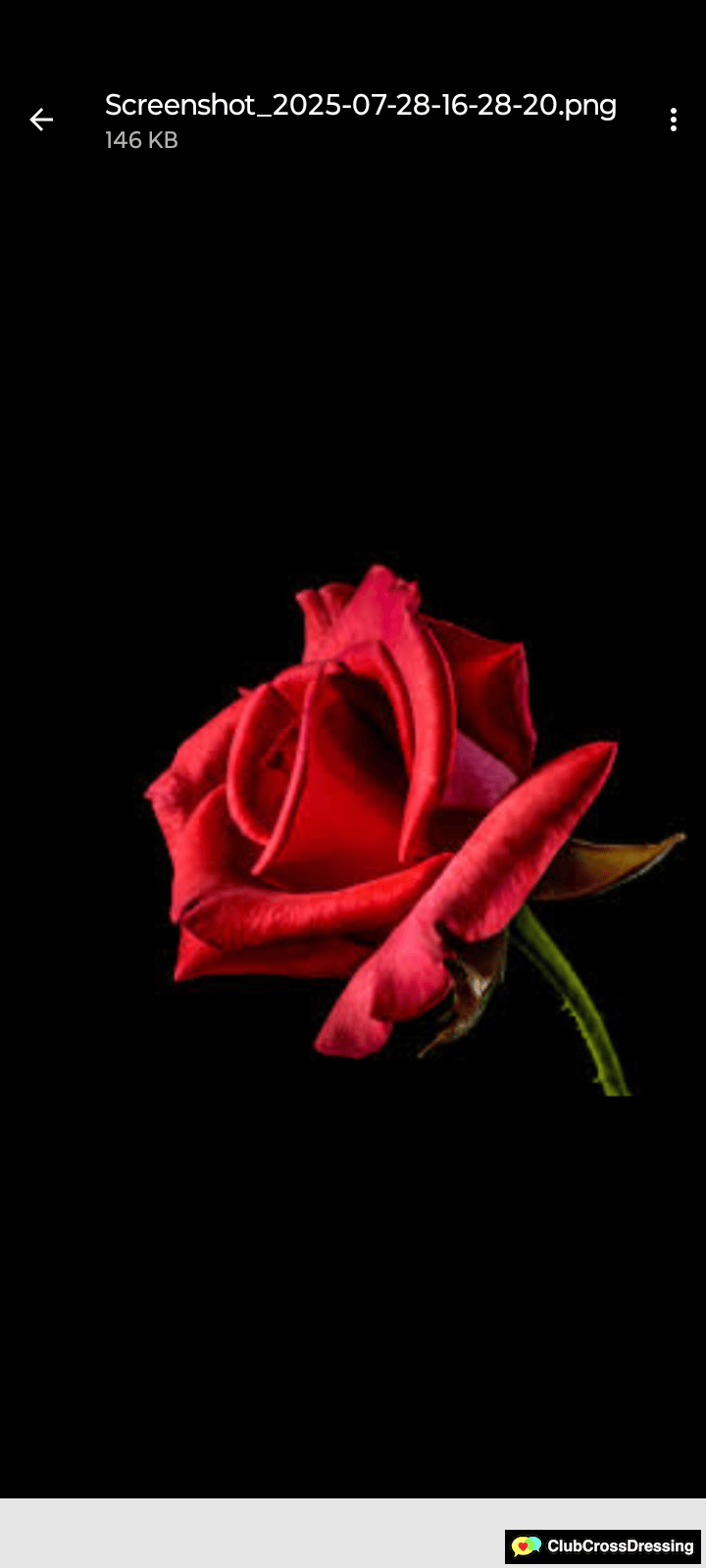 Silkentastes profile photo